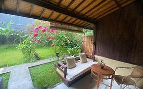 Pomelo Guest House